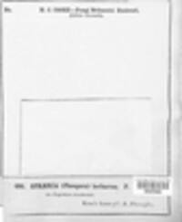 Image Associated With the Occurence